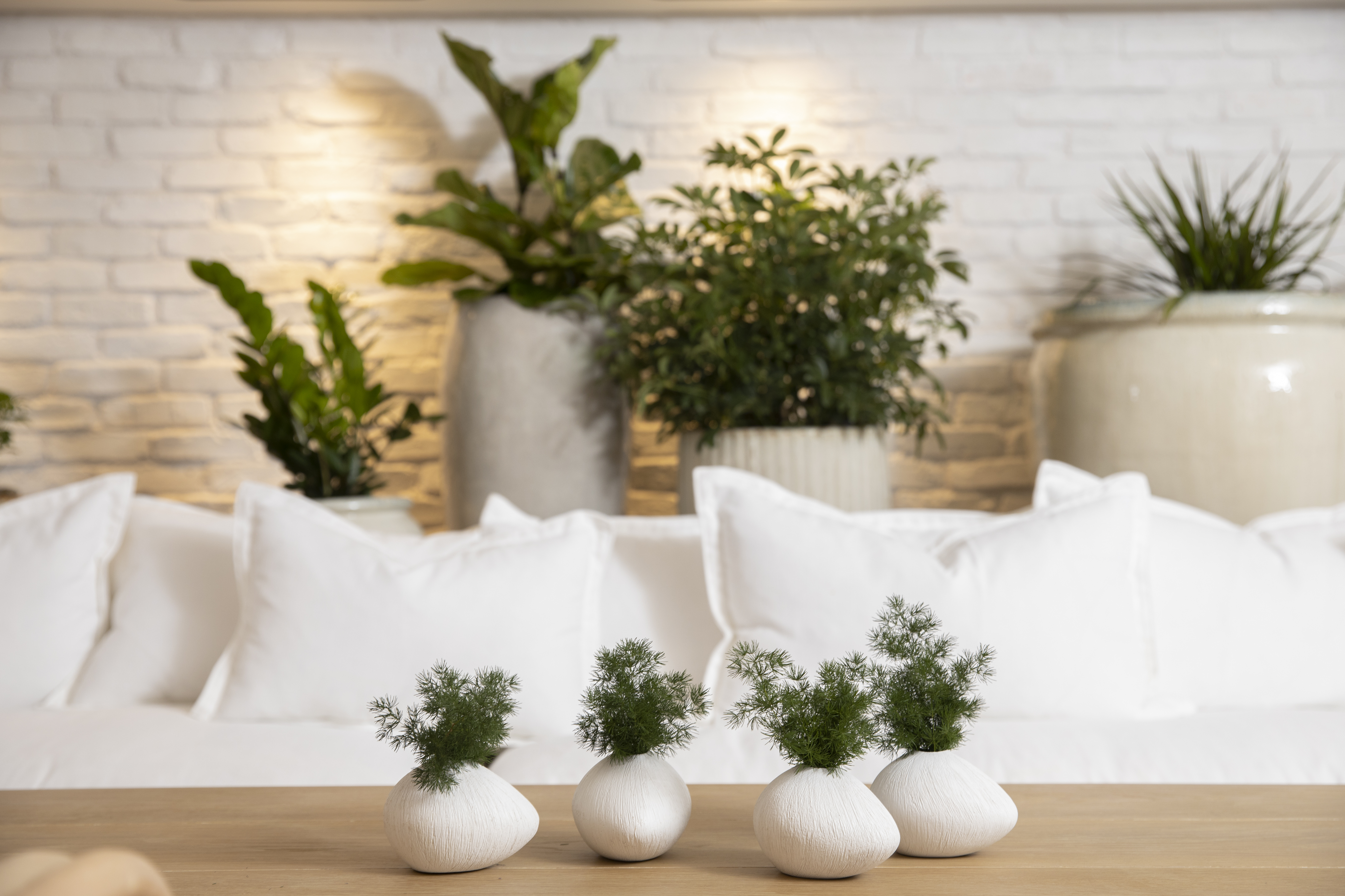 Clusters of plants on the Conservatory tables